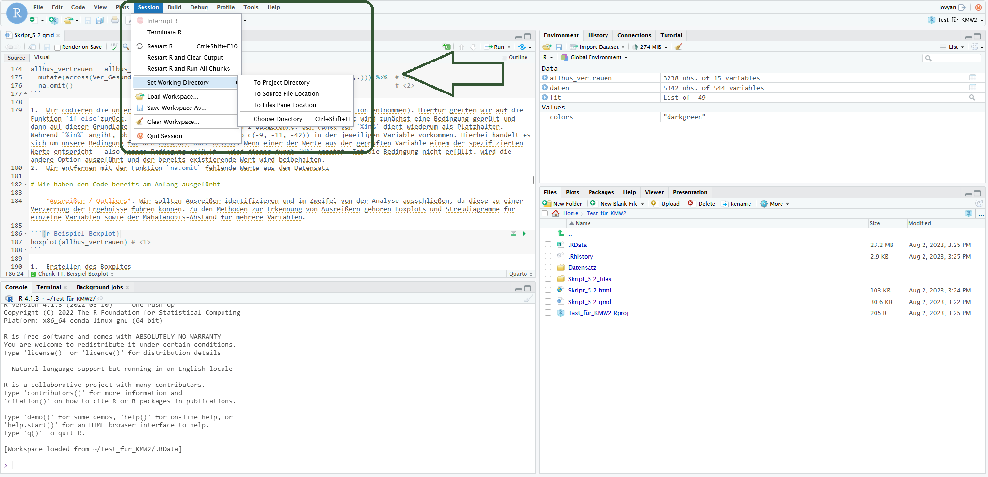 Screenshot RStudio